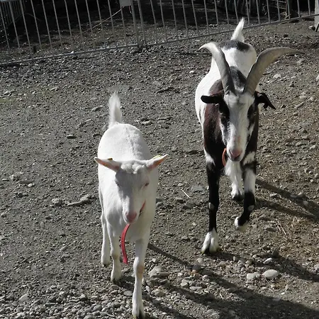 Gasthof Waldemar Herberg 3*