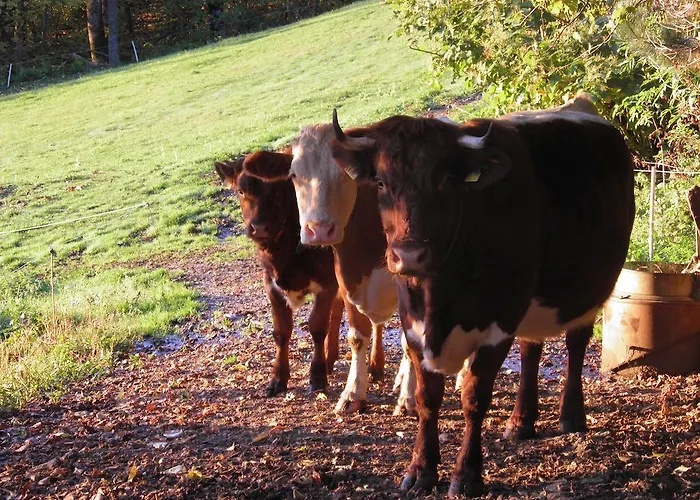 Gasthof Waldemar Gasthof