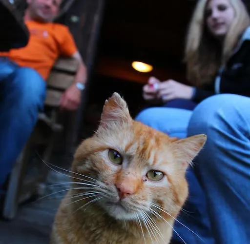 Gasthof Waldemar Hermagor-Pressegger See